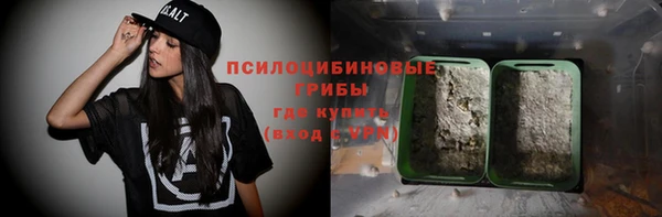 PSILOCYBIN Снежинск