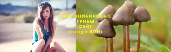 марки lsd Снежногорск