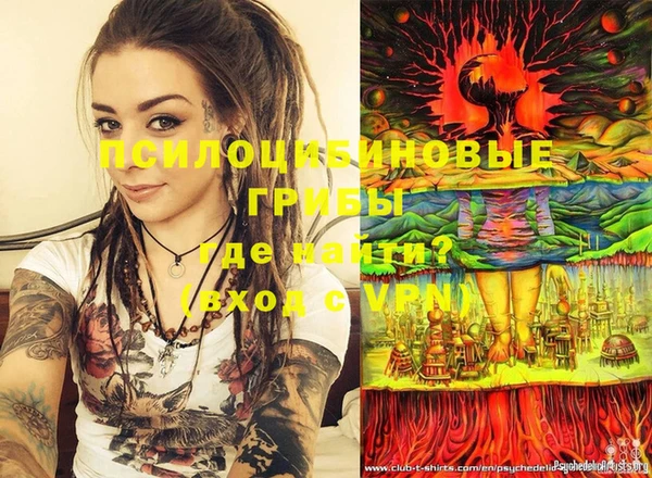 PSILOCYBIN Снежинск
