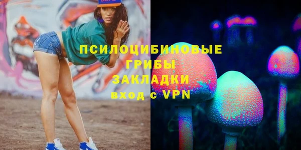 PSILOCYBIN Снежинск