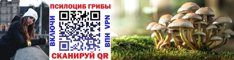 Купить  Никольское  Псилоцибиновые грибы мухоморы 