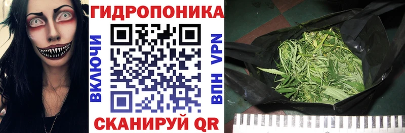 Купить закладки  Никольское  Канабис SATIVA & INDICA 